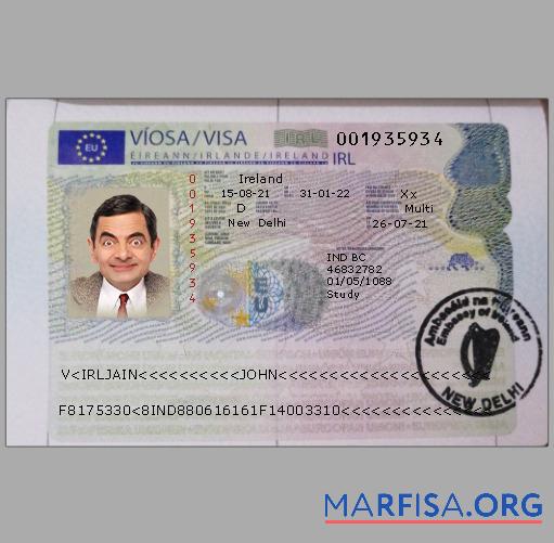 Realistic Ireland visa template